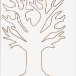 Buttonpapier Vorlage Schön Vorlage Zum Ausdrucken Und Ausmalen Baum