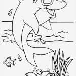 Buttons Vorlagen Kostenlos Beste 146 Dessins De Coloriage Dauphin à Imprimer Sur Laguerche