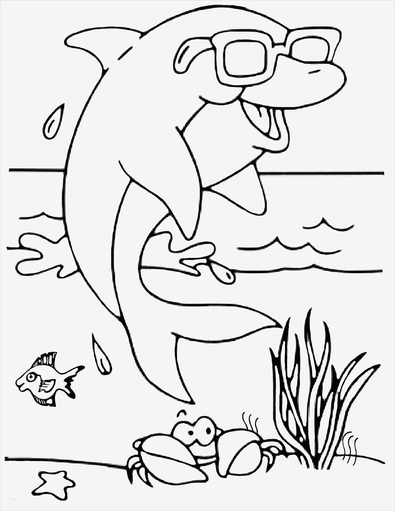 Buttons Vorlagen Kostenlos Beste 146 Dessins De Coloriage Dauphin à Imprimer Sur Laguerche