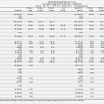 Bwa Vorlage Excel Bewundernswert Vorlage Gewinn Und Verlustrechnung