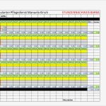 Bwa Vorlage Excel Elegant Protokolle Fice