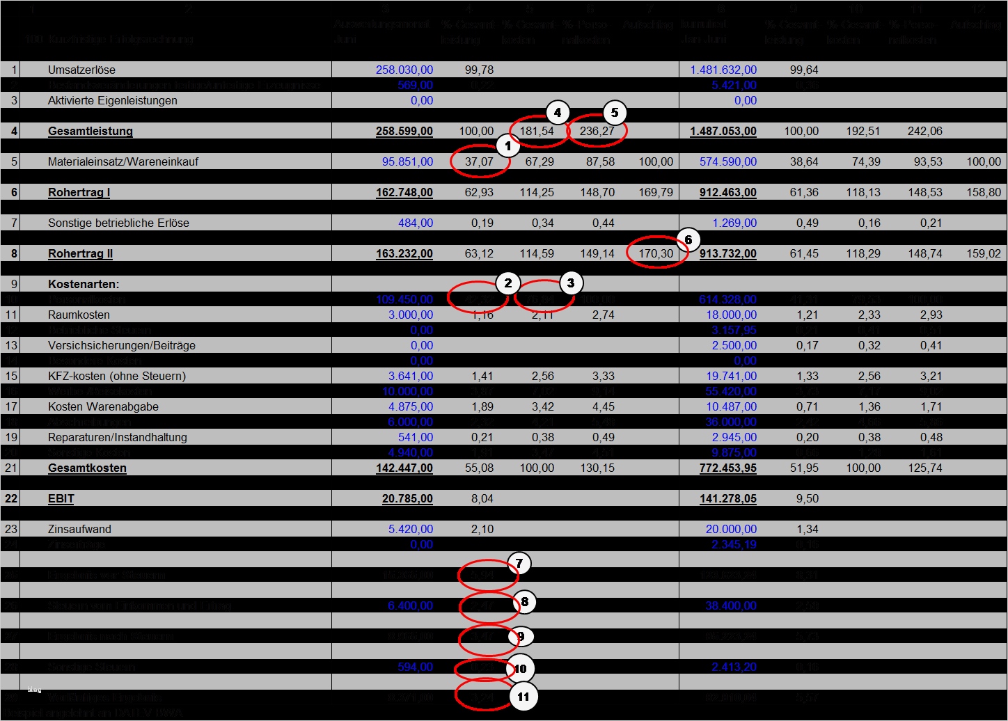Bwa Vorlage Excel Fabelhaft Beste Restaurant Monatliche Gewinn Und Verlustrechnung