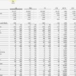 52 Schönste Bwa Vorlage Excel Kostenlos Galerie 70 Bwa Vorlage Excel Kostenlos Genial Bwa E Merce Line Handel Excel Vorlage