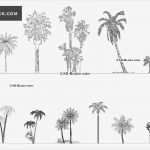 Cad Vorlagen Erstaunlich Ungewöhnlich Autocad Vorlagen Kostenlose Downloads Ideen