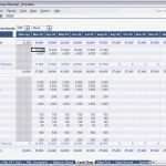 Cash Flow Berechnung Vorlage Erstaunlich Berühmt Zahlungsplan Vorlage Zeitgenössisch Bilder Für