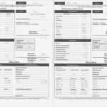 Cash Flow Berechnung Vorlage Schönste Nett Cash Bericht Vorlage Zeitgenössisch Entry Level