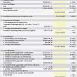 Cash Flow Berechnung Vorlage Süß Bilanz Und sonstige Werte Für Beispielberechnungen