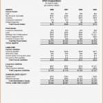 Cash Flow Berechnung Vorlage Süß Gemütlich Konstruktion Cashflow Vorlage Ideen Entry