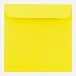 Cd Papierhülle Vorlage Erstaunlich Gelbe Cd Hülle Papier Mit Fenster Selbstklebend