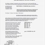 Ce Konformitätserklärung Vorlage Wunderbar Medizinprodukt Prüfzertifikate Reha Europe