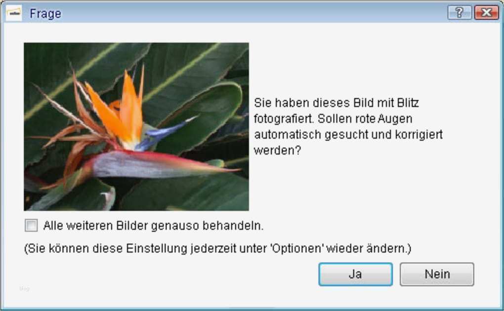 Cewe Fotobuch Download