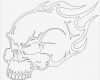Cnc Vorlagen Best Of Fichero Dxf De Cráneo Para Router Waterjet Plasma Cnc