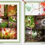 Collage Erstellen Vorlage Einzigartig Eine Foto Collage Erstellen Fotobuch Erstellen Mit