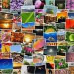 Collage Erstellen Vorlage Erstaunlich Ausgezeichnet Collage Vorlagen Kostenlos Ideen