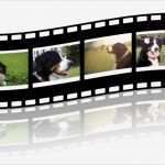 Collage Erstellen Vorlage Erstaunlich Streifen Collage Erstellen