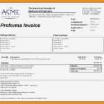 Commercial Invoice Vorlage Angenehm 5 Invoice Vorlage
