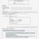 Commercial Invoice Vorlage Best Of Fein Awb Vorlage Bilder Beispiel Wiederaufnahme Vorlagen