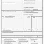 Commercial Invoice Vorlage Bewundernswert Canada Customs Invoice the Low Down