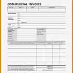 Commercial Invoice Vorlage Erstaunlich 5 Invoice Vorlage