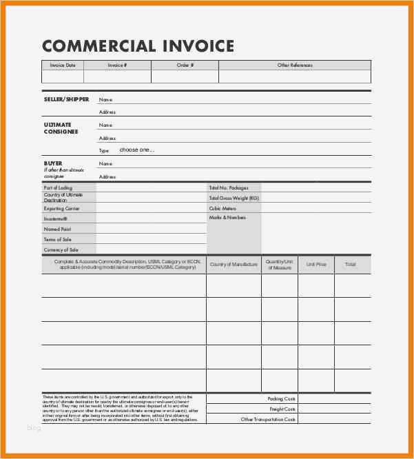 Commercial Invoice Vorlage Erstaunlich 5 Invoice Vorlage