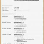 Commerz Finanz Restschuldversicherung Kündigen Vorlage Angenehm Luxus Bilder Von Lebenslauf Tabellarisch Muster