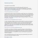 Commerz Finanz Restschuldversicherung Kündigen Vorlage Schönste Luxus Bilder Von Lebenslauf Tabellarisch Muster