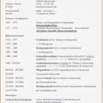 Commerz Finanz Restschuldversicherung Kündigen Vorlage Süß Luxus Bilder Von Lebenslauf Tabellarisch Muster
