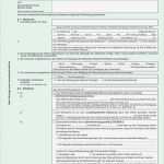 Congstar Kündigung Vorlage Beste Niedlich Vertragsvorlage Bilder Vorlagen Ideen