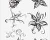 Corel Draw Vorlagen Download Kostenlos Angenehm 29 Schmetterling Tattoos Abosluter Hammer Sind