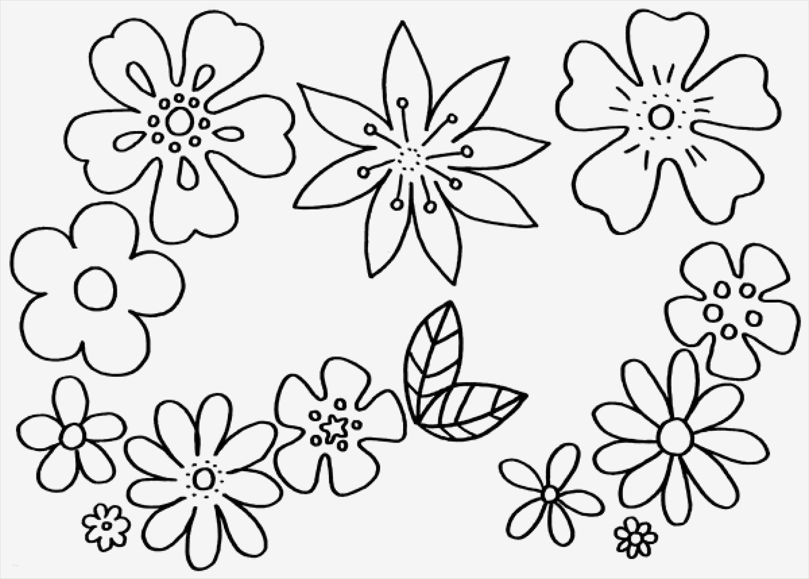 Corel Draw Vorlagen Download Kostenlos Inspiration Malvorlagen Blumen Kostenlose Ausmalbilder