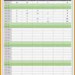 Crm Excel Vorlage Kostenlos Beste Erfreut Zeiterfassungsbogen Vorlage Fotos Beispiel