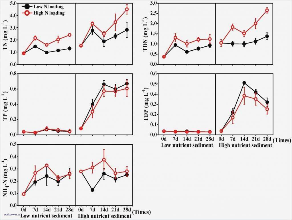 Css Bildergalerie Vorlagen Schönste 52 Vorrat Flyer Vorlagen Shop Das Neueste