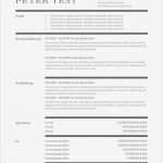 Cv Vorlage Einzigartig Lebenslauf Vorlage Kompetenzen Mit Berufliche