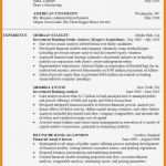 Cv Vorlage Elegant 16 Cv Englisch Vorlage