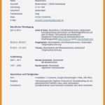 Cv Vorlage Englisch Cool 15 Cv Vorlage Englisch