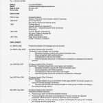 Cv Vorlage Englisch Einzigartig &quot;resume&quot; &quot;curriculum Vitae&quot; Oder Stinknormaler Lebenslauf