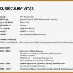 Cv Vorlage Englisch Erstaunlich Cv Schreiben Muster Lebenslauf Englisch Vorlage Fitted