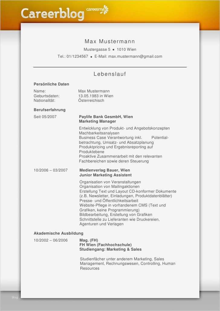 Cv Vorlage Erstaunlich Cv Vorlage