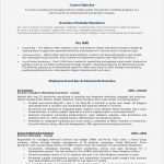 Cv Vorlage Gut Fantastisch Cv Marketing Vorlage Bilder Vorlagen Ideen