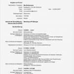 Cv Vorlage Schönste Cv Europass Vorlage