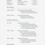 Datenschutzerklärung Vorlage Gut Bewerbungsmuster Pilot