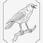 Daumenkino Vorlagen Genial Bjf Durchblick E 5 Mama Muh Und Krähe