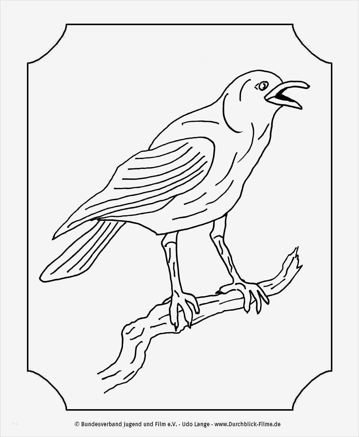 Daumenkino Vorlagen Genial Bjf Durchblick E 5 Mama Muh Und Krähe