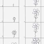 Daumenkino Vorlagen Neu Animation Flip Book Workshop