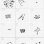 Daumenkino Vorlagen Schönste Séquentielles Grenouille