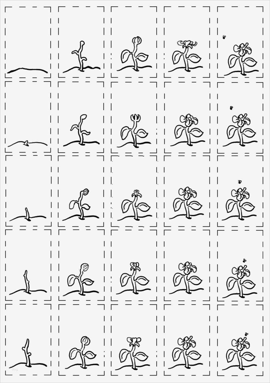 Daumenkino Vorlagen Zum Ausdrucken Kostenlos Inspiration Über 1 000 Ideen Zu „daumenkino Auf Pinterest