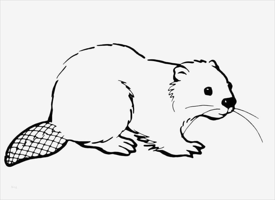 Daumenkino Vorlagen Zum Ausdrucken Kostenlos Neu