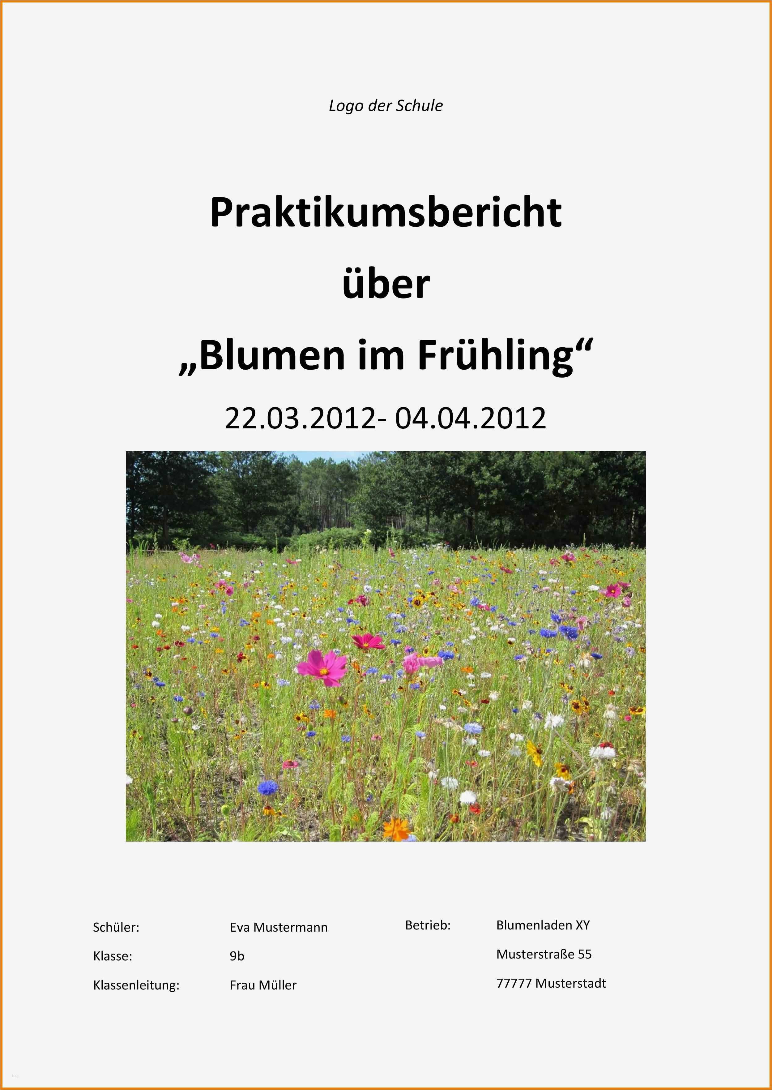 Deckblatt Praktikumsbericht Vorlage Beste 6 Kindergarten Deckblatt