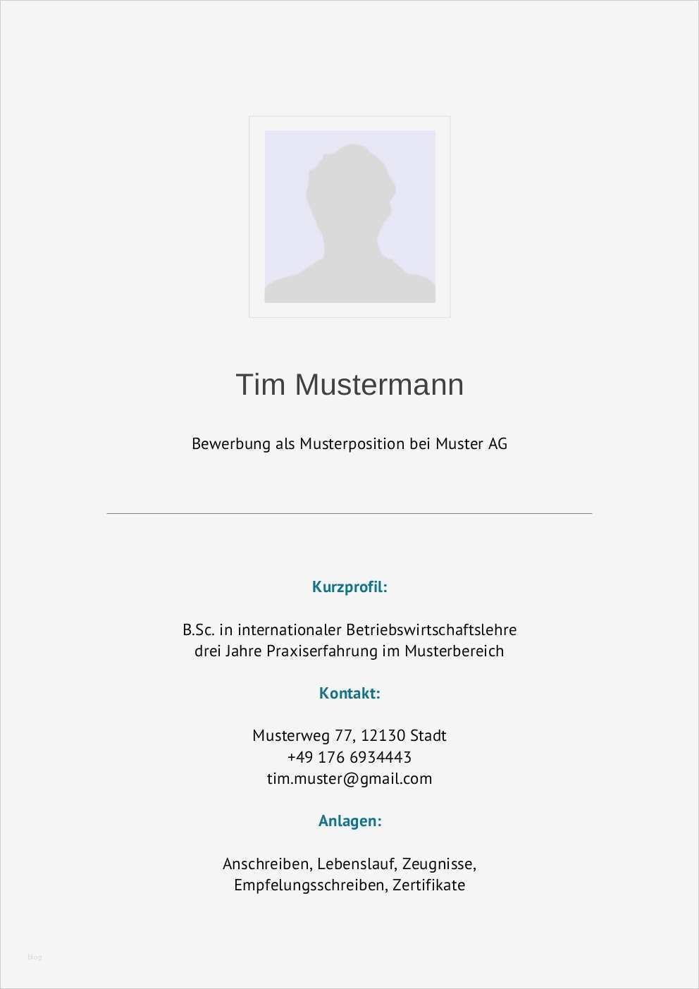 Deckblatt Vorlage Luxus Bewerbung Deckblatt Muster Vorlage 2
