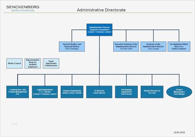 Dfg Lebenslauf Vorlage Elegant Beste Human Resources organigramm Bilder Bilder Für Das
